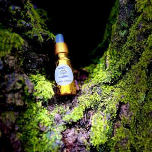 Botanical Organic Hair Oil Base 20ml